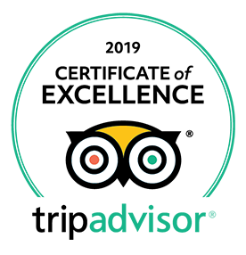TripAdvisor_2019